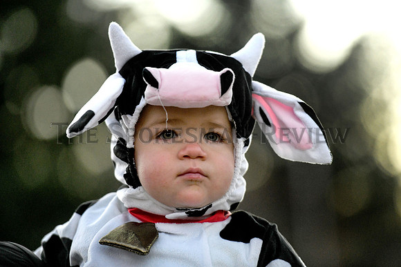 srx_Halloween_4_.jpg