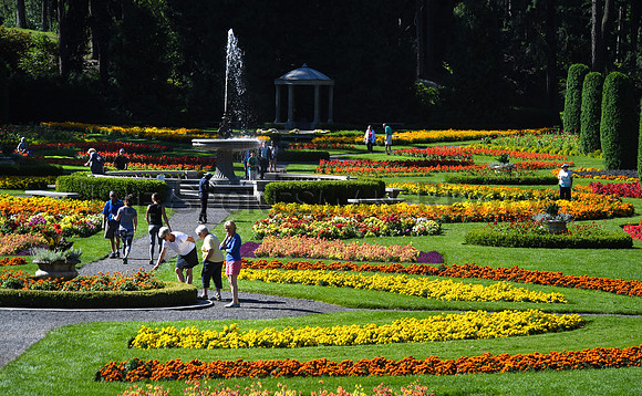 SRX DUNCAN GARDEN 1