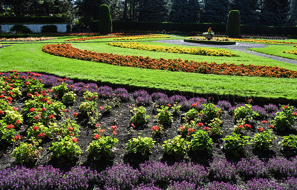 SRX DUNCAN GARDEN 6