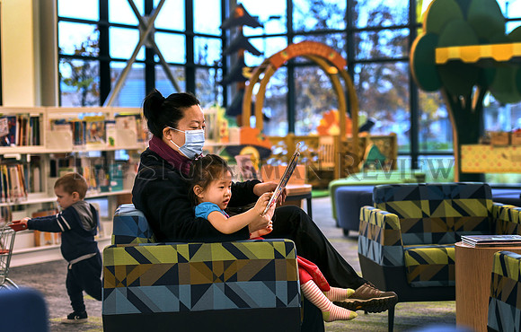 srx_Shadle_Library_1_.jpg