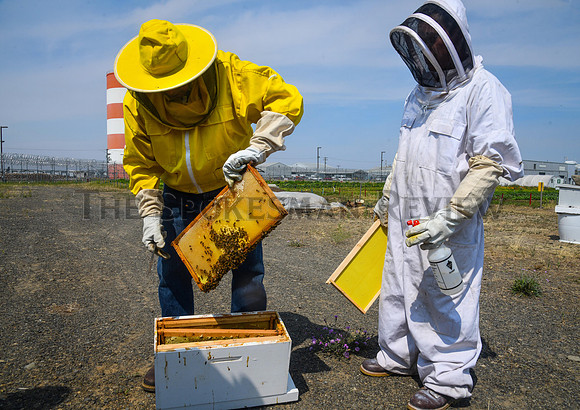 SRX PRISON BEES 5