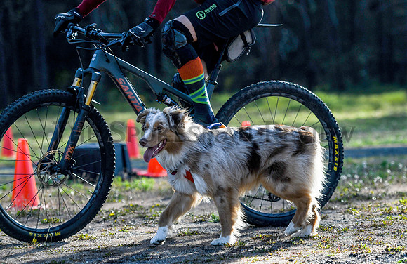srx_Bike_Races_2_.jpg