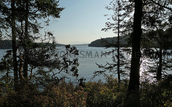 SRX_RENT_ISLAND6