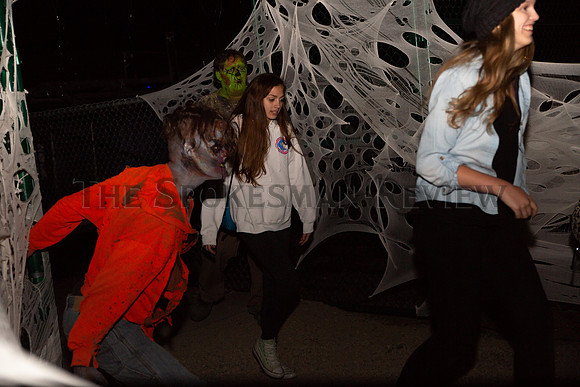 SCARYWOOD 3