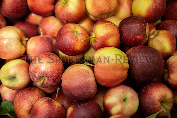 SRX APPLE DUMPLING FEATURE 1