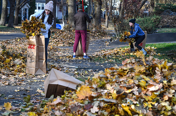 SRX LC LEAF RAKING 1