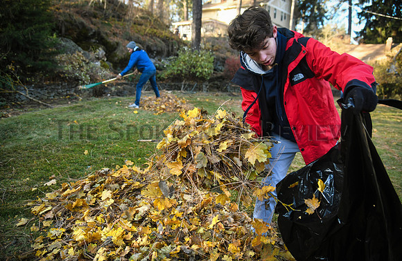 SRX LC LEAF RAKING 4