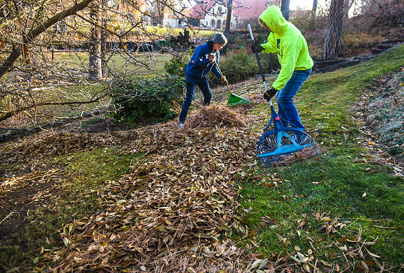 SRX LC LEAF RAKING 3