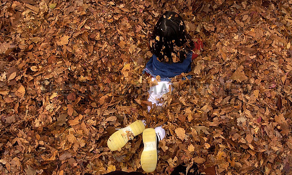 FALL LEAF FESTIVAL