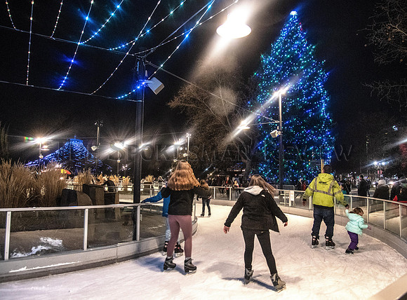 SRX RIVERFRONT PARK CHRISTMAS TREE 2