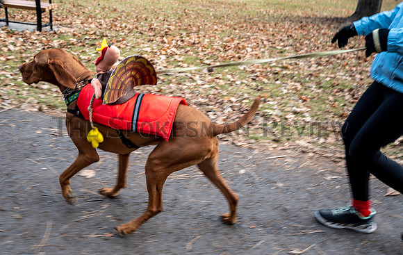 SRX_TURKEY TROT_9
