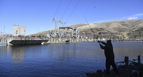 Endangered Salmon Trump Appeal