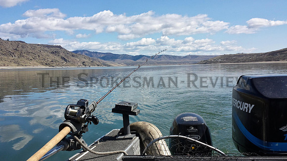 FISH_ROOSEVELT.JPG