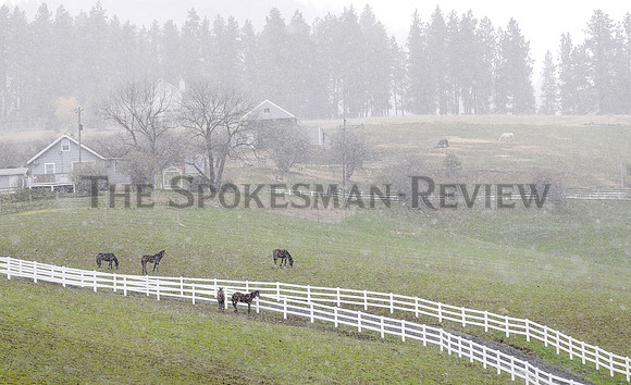 APRIL SNOW 8