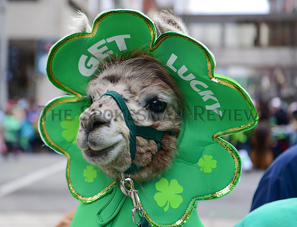 ST PATRICKS DAY PARADE 14