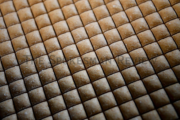 SRX_DOGTREATS_002_tt