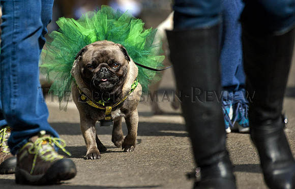 ST PATRICK'S DAY PARADE 8