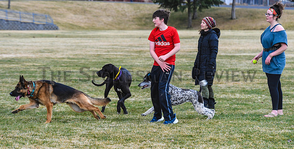 SRX PET CARE COVD-19