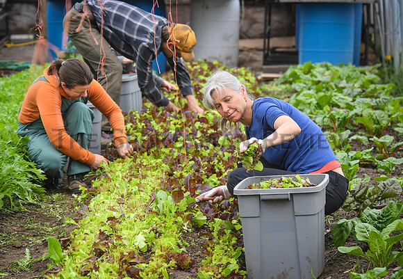 SRX URBAN EDAN FARMS 1