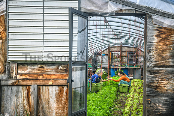 SRX URBAN EDEN FARMS 2