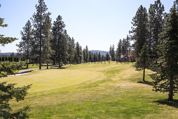 SRX GOLF COURSE WIDE