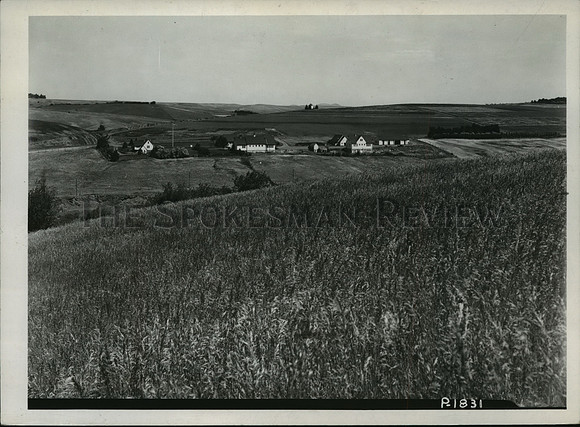 1953 Press Photo Pullman nursery unit and nursery, seed production farm, Moscow