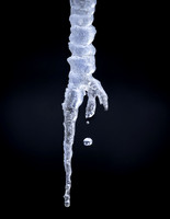 ICICLE FEATURE