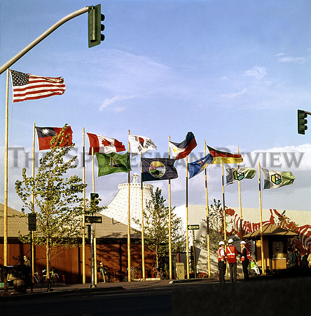 EXPO FLAGS