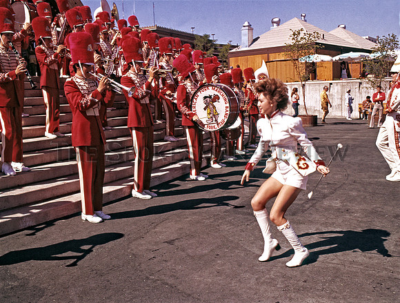 EXPO BAND