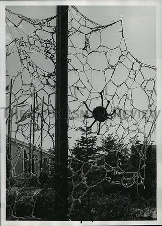 1974 Press Photo Webwork sculpture exhibit in British Columbia Pavilion-Expo '74