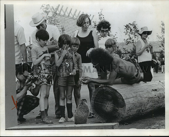 1974 Press Photo Expo '74 tourists observe a marmot, Spokane