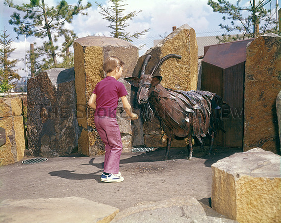 EXPO GOAT