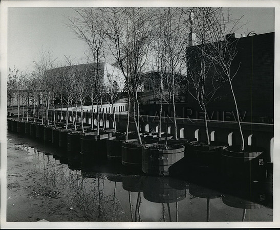 1974 Press Photo Expo '74 potted trees relocated to Howard Street Bridge