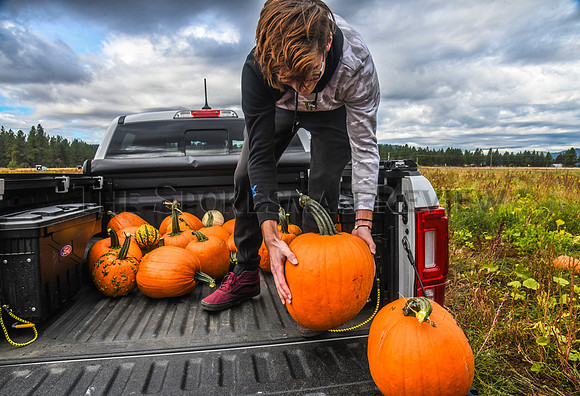 SRX CARVER FARMS 9