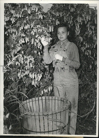 1940 Press Photo Mrs. Oliver Clark, hop picker in Greenacres, Eastern Washington