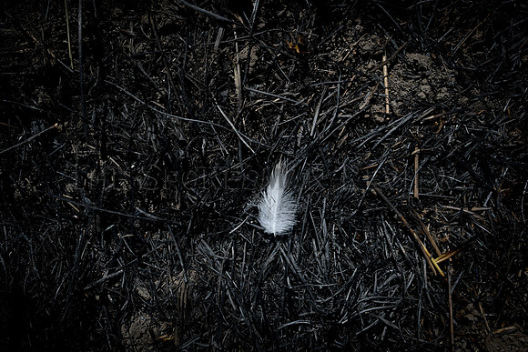 FIRE_003_tt