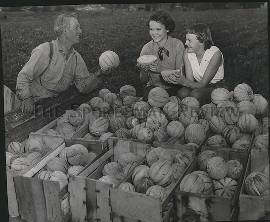 1951 Press Photo Vegetable Garden-Paul Scaramore sells cantaloupes