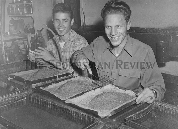 EGG PICKER 1945 HISTORICAL