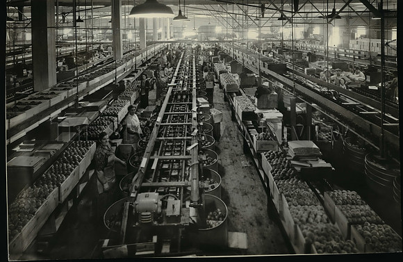 1938 Press Photo Yakima Apple Packing Plant