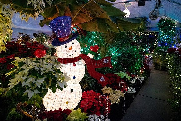 SRX HOLIDAY LIGHTS AT GAISER 6