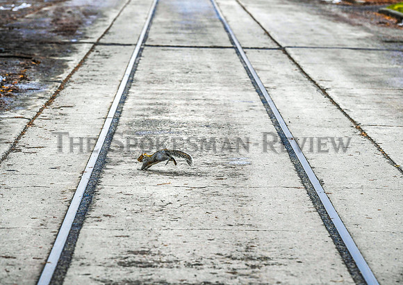 SRX STREETCAR RAILS 2