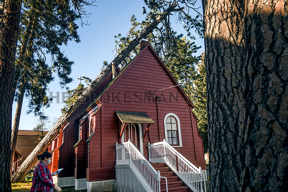srx_Fort_Sherman_Chapel_Tree_4_.jpg