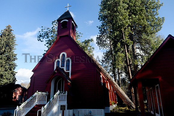 srx_Fort_Sherman_Chapel_Tree_3_.jpg