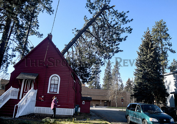 srx_Fort_Sherman_Chapel_Tree_2_.jpg
