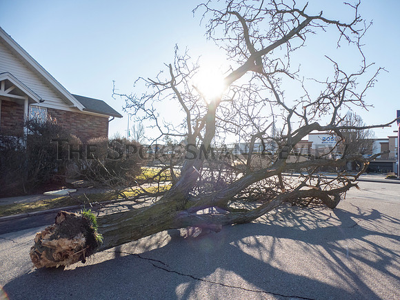 SRX WINDSTORM 2021