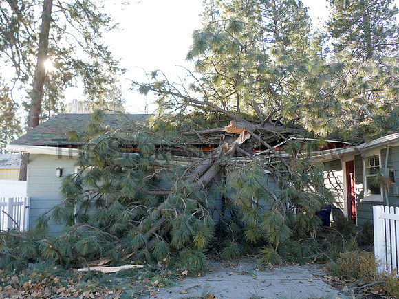 SRX WINDSTORM 2021 11