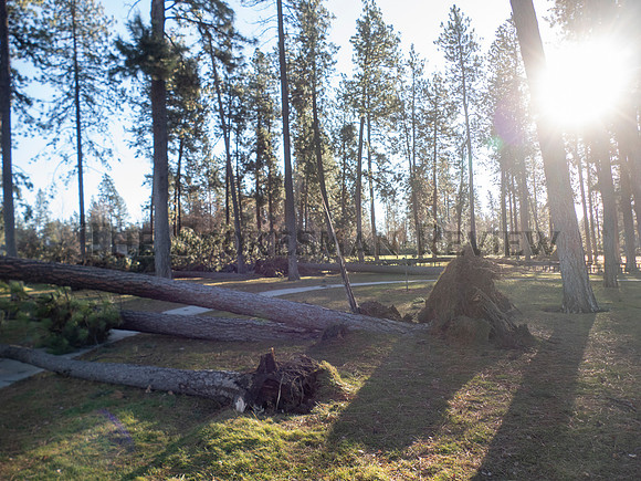 SRX WINDSTORM 2021 10