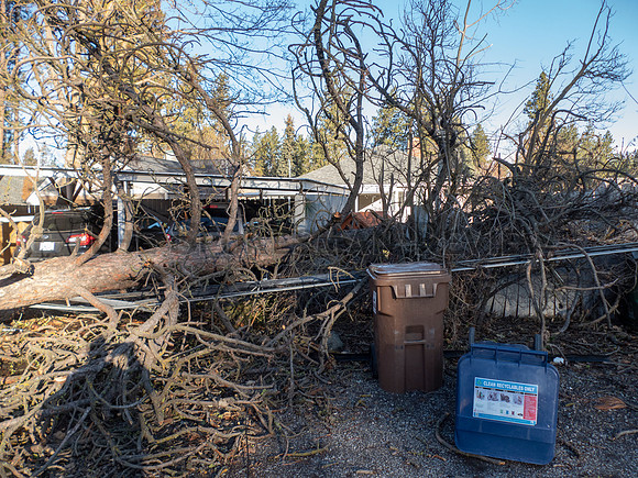 SRX WINDSTORM 2021 9
