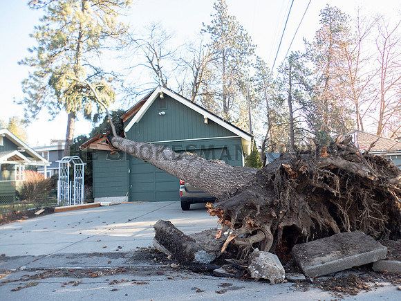 SRX WINDSTORM 2021 8