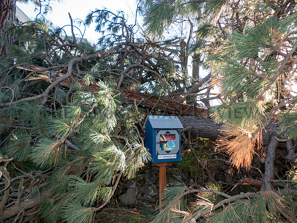 SRX WINDSTORM 2021 7